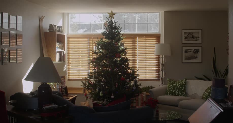 A christmas tree sits in front of a window