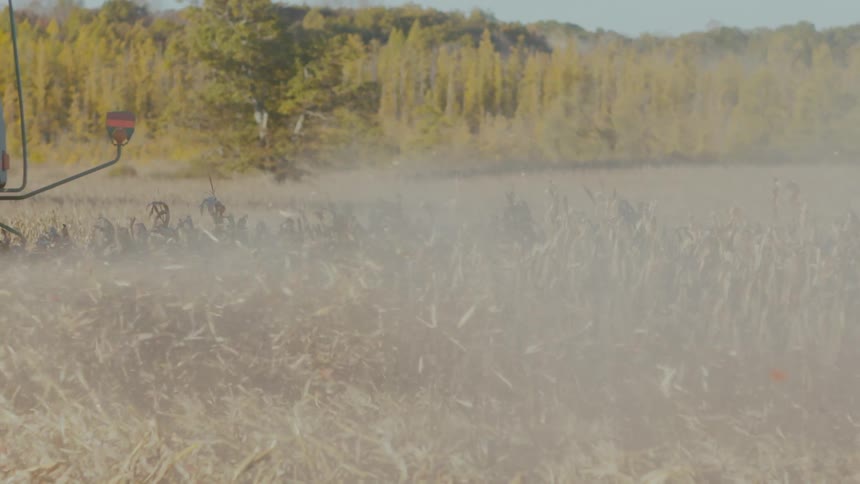 A tractor is plowing a field and there are trees and woods in the distance