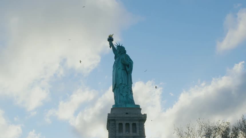 Birds flying around the statue of liberty