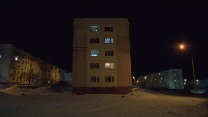 Black dog passes by apartment building in the neighborhood at night