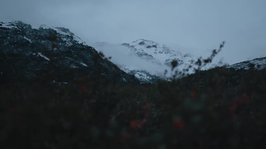 Bushes sit in front of the snow covered mountains under a cloudy sky