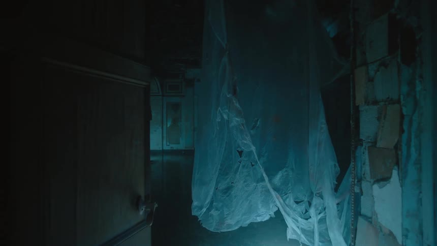 Torn sheet of plastic hangs near open wooden door leading to dark hallway with damaged walls