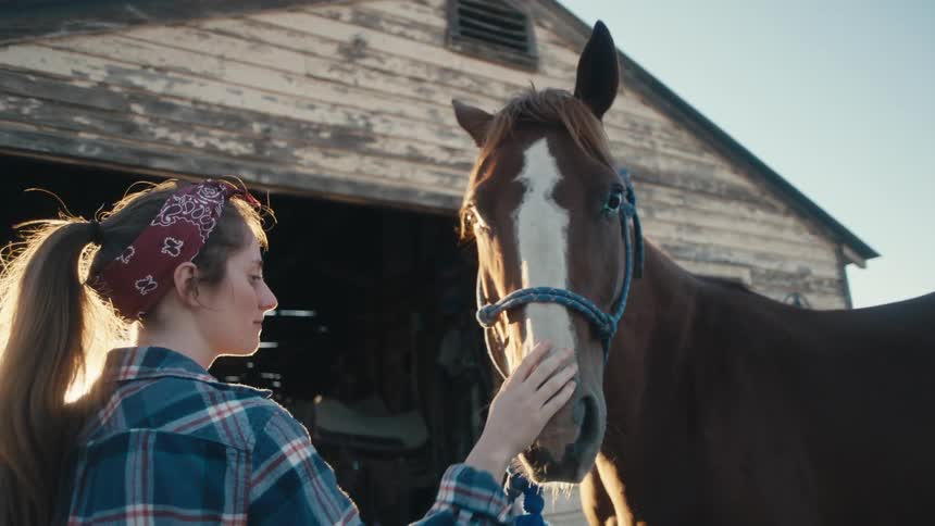 Woman pets horse as sun shines through window in barn