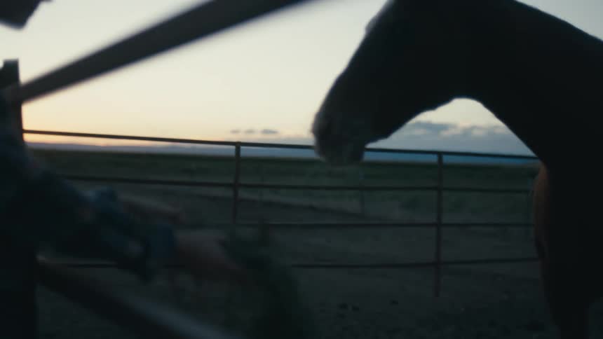 A teenage girl on a farm holds hay out for a horse to eat