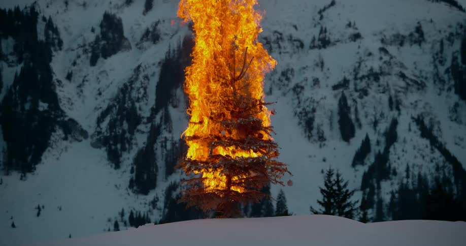 Bright orange and yellow flames burn a single tree on a snow covered ridge