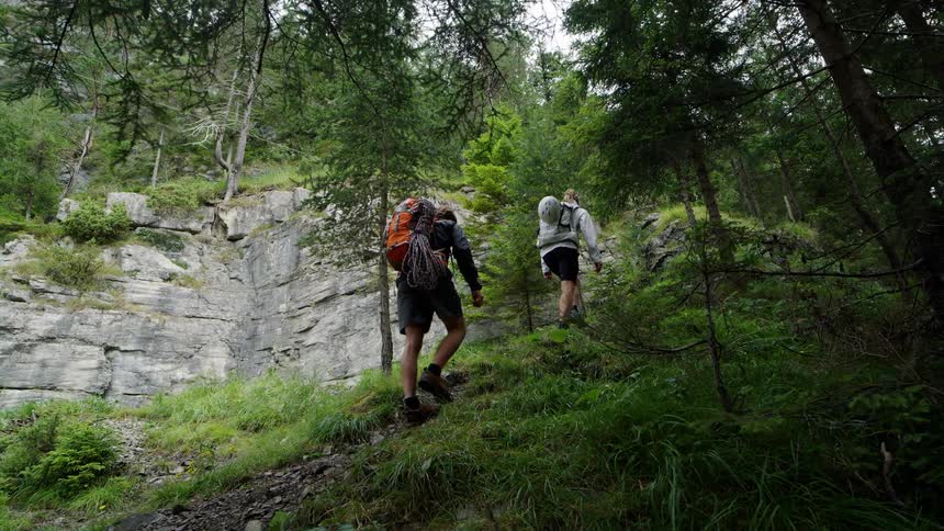 A pair of hikers travel up a hill in a woodland during the day