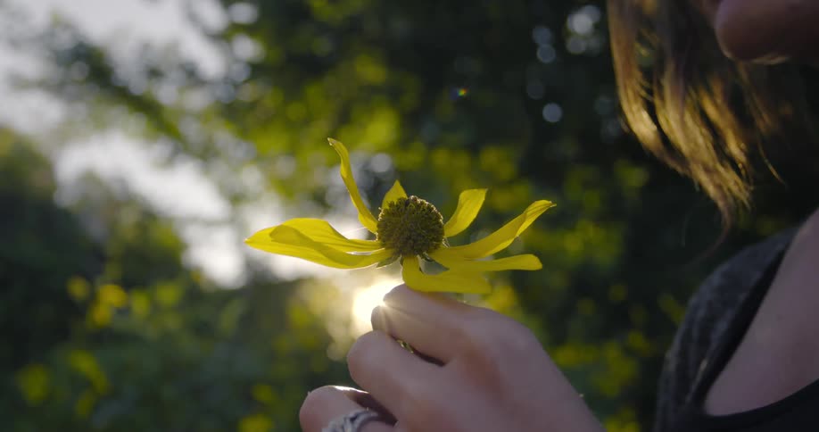 A woman stands under trees holding a flower an looks at it