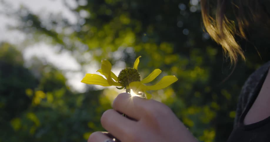 Woman holding a yellow wild flower on her hands in front of the setting sun