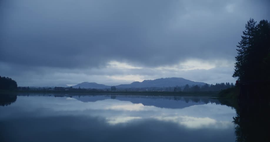 A view of a lake with trees around it