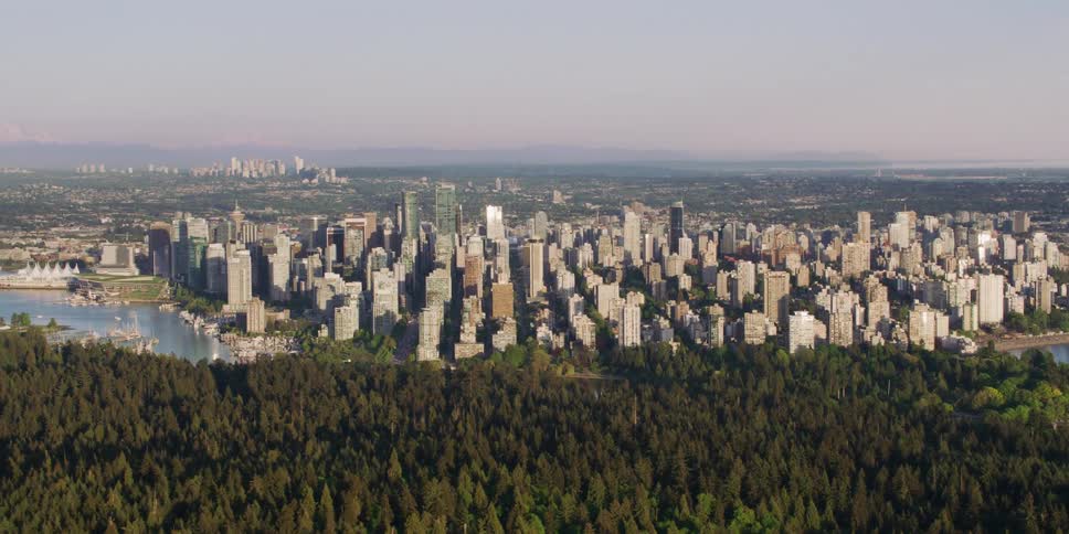 Aerial view of an urban city near a wooded area is displayed