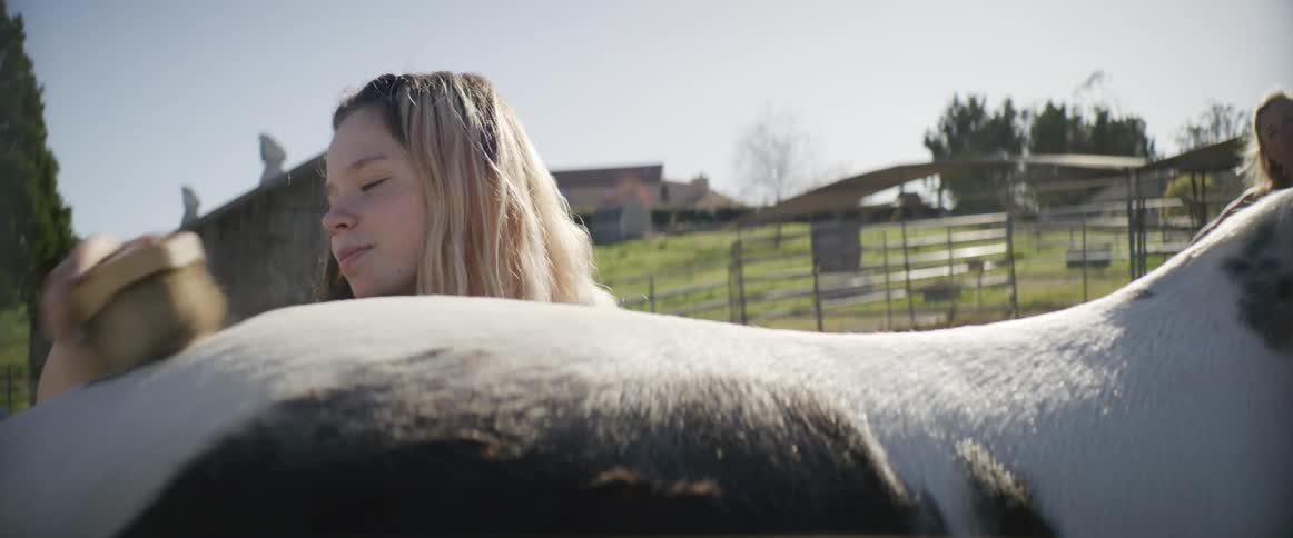 A woman is brushing her horse