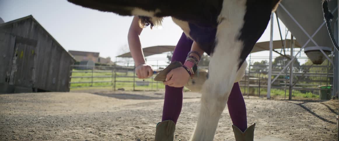 Woman cleans horses hoof standing in yard with corral and shed it he background