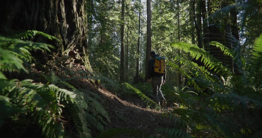Man with hat jacket jeans yellow backpack walks in the forest