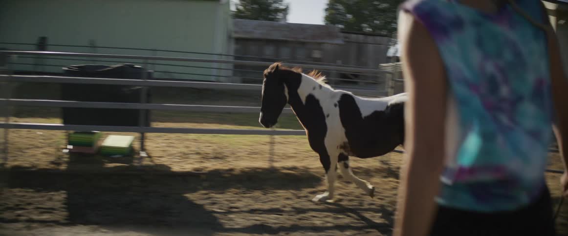 The horse is running around