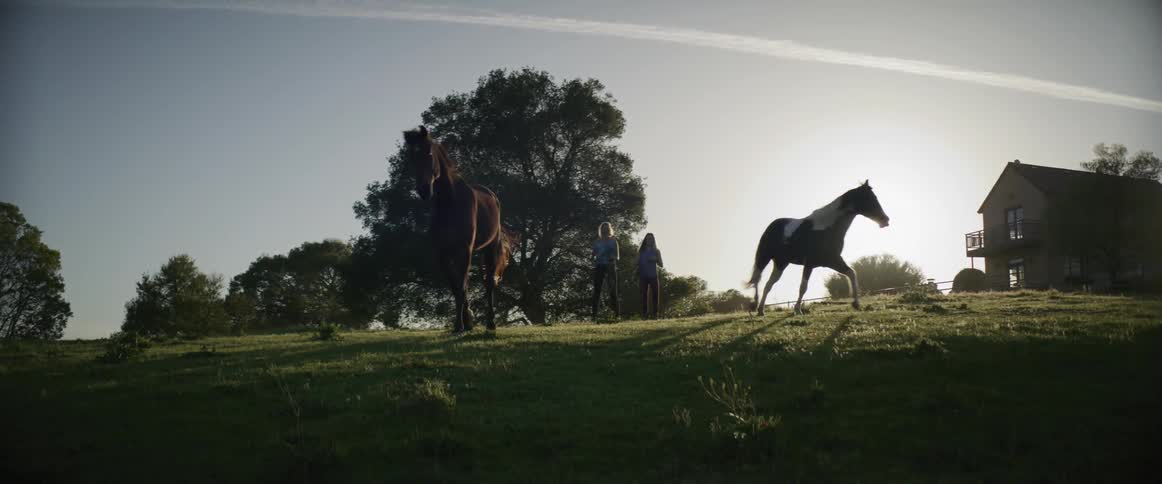 Two horses in a field gallop away from a mother and daughter