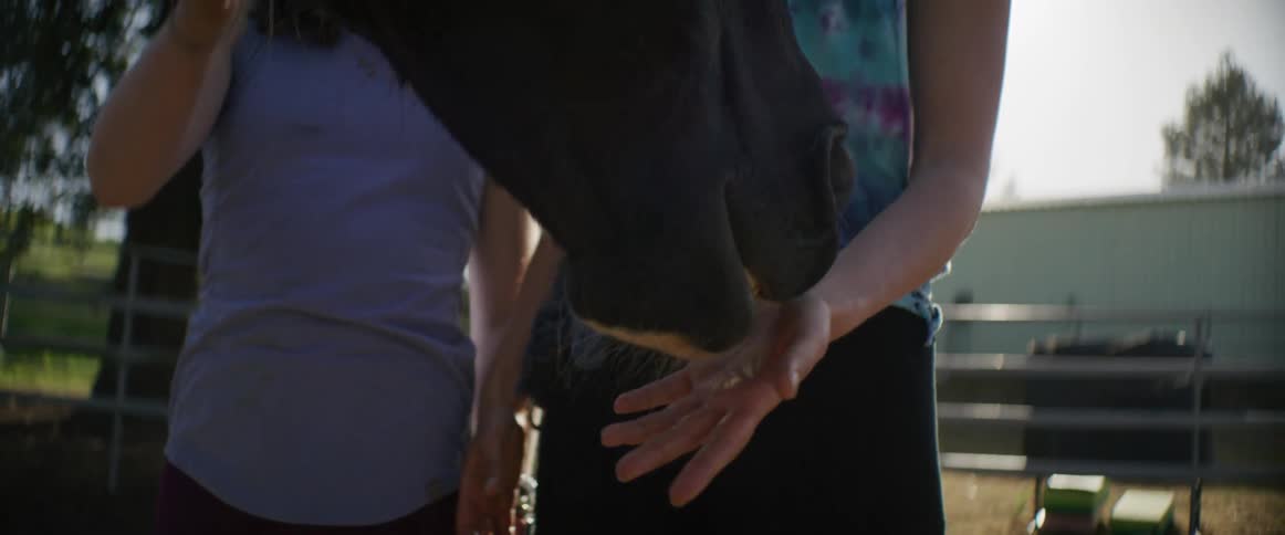 A brother and sister stand on a farm and put their hands out to a horse as the horse licks them
