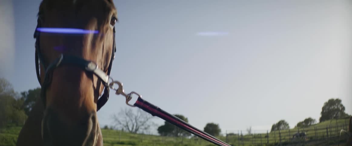 A girl stands next to her mother and holds a horses reins as it walks in a pen