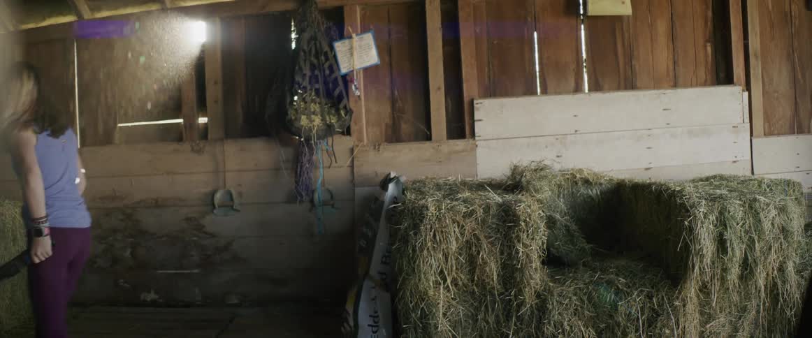 A girl is pushing a wheelbarrow in a barn past bales of hay and another girl follows her