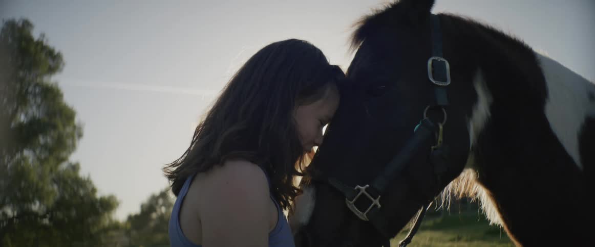 A girl hugs her horse and pets it