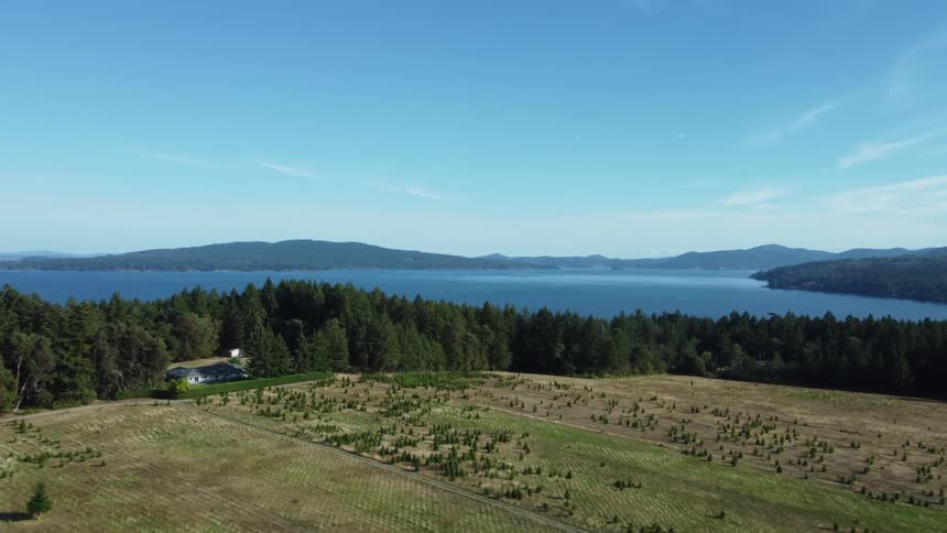 A rural house is surrounded by a forest of trees along the coast and mountains in the distance