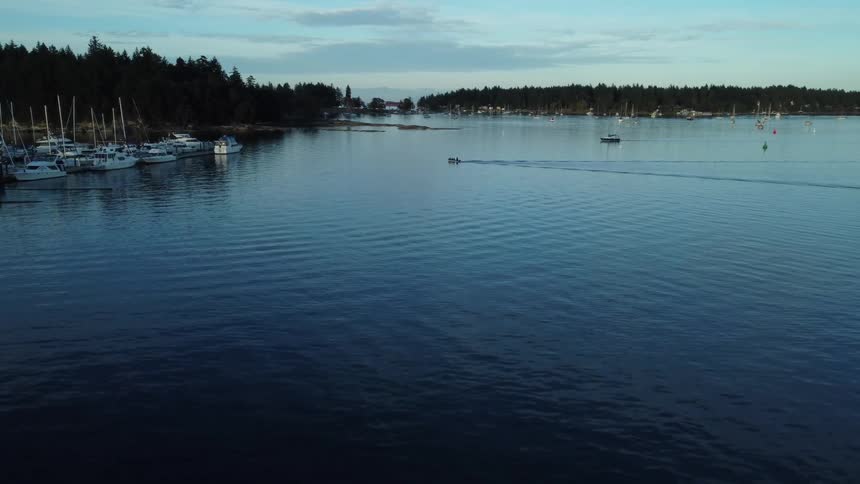 A motorboat leaves a wake as it moves toward docked boats in a marina