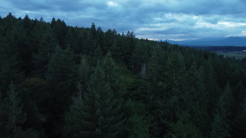 Conifer topped slopes stand over grassy valley leading to more forest and mist covered mountains