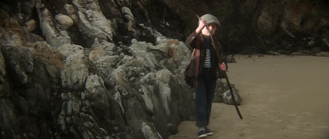 Little Boy Exploring  The Beach