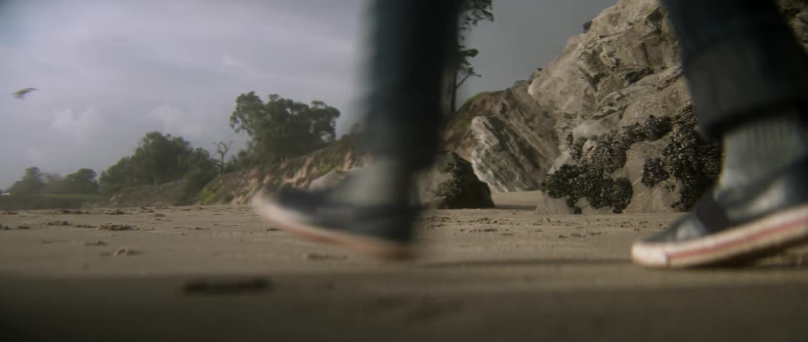 Little Boy Exploring  The Beach