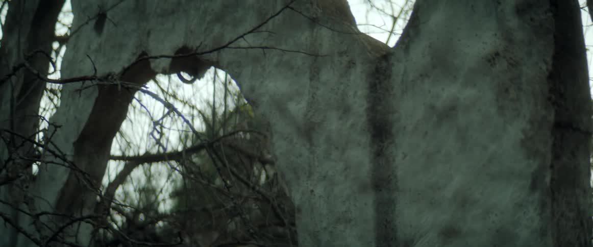 The trees are growing around the sculpture