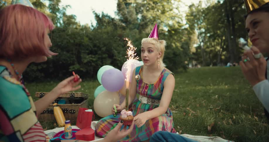 Friends have birthday picnic party in park with other picnic goers in the background