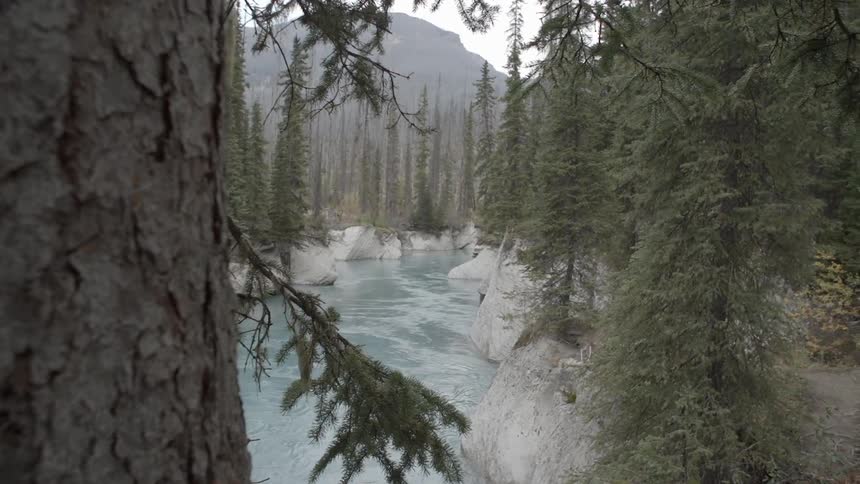 The stream below is surrounded by rocks and trees