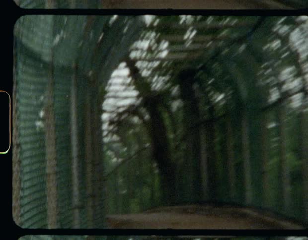 A footbridge enclosed in a fence during the day