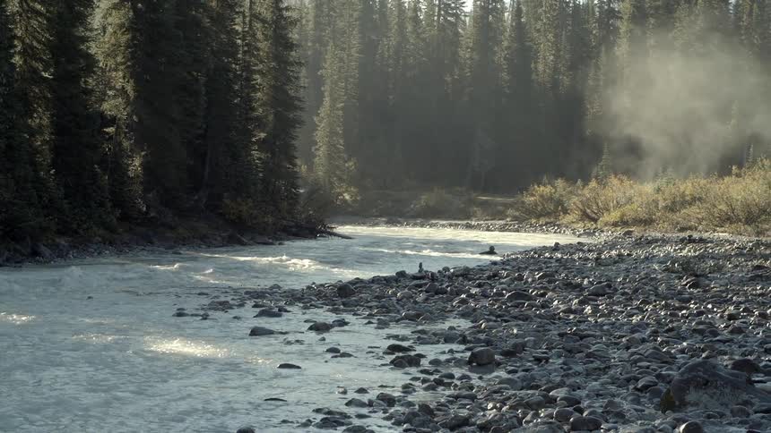 A rough stream is lined with rocks