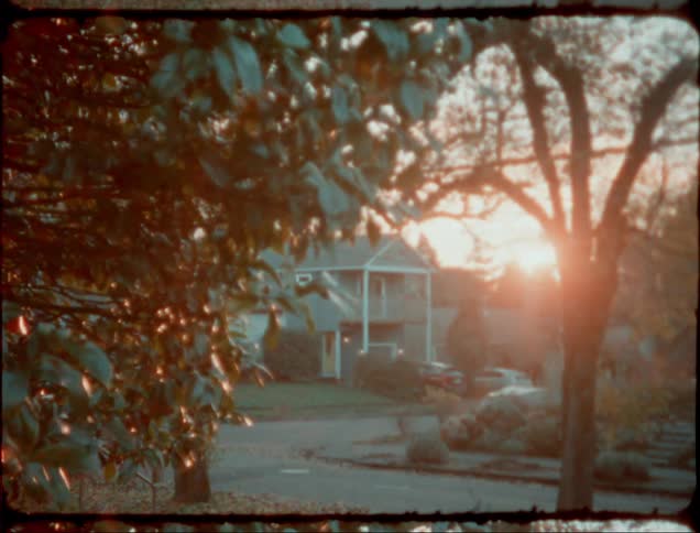 A view of a neighborhood