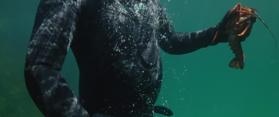 A diver swimming underwater rises to the surface and holds a lobster up to the camera