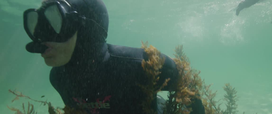 A diver swims through a patch of seaweed on the sea floor during the day