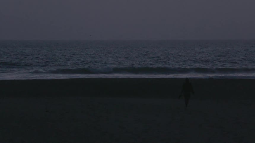 A person walking on the beach