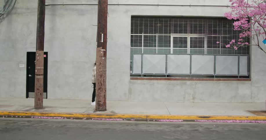 Photographer walks along sidewalk passing flowering tree and parked vehicles