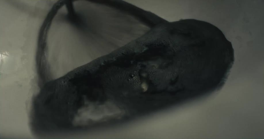 Black liquid dye is being poured down a sink drain