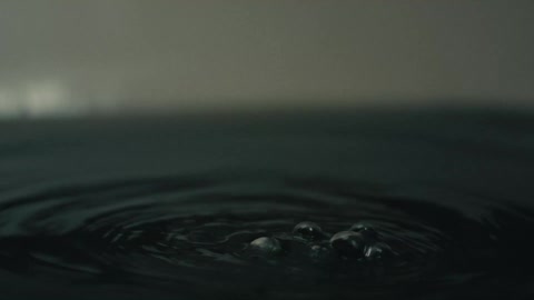 WZRD featured clip