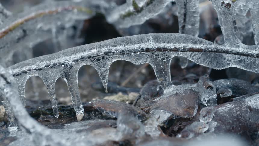 Close up of frozen water and icicles hanging from branches close to the ground