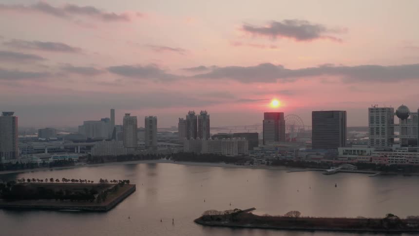 A bird soars over a city harbor at sunset
