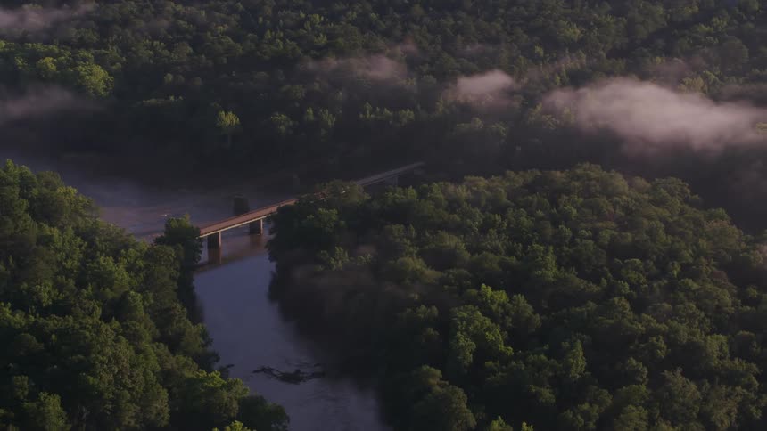 A bridge stretches over a wide river surrounded by a dense forest of trees