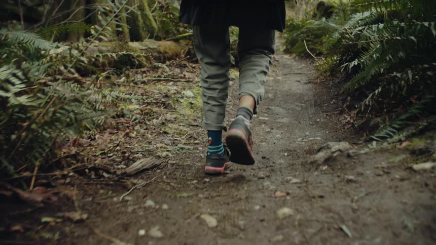Hiker wearing large backpack hikes along dirt trail through forest bordered by ferns and moss covered trees