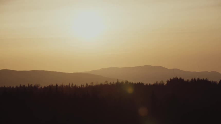 The sun is rising on the forest