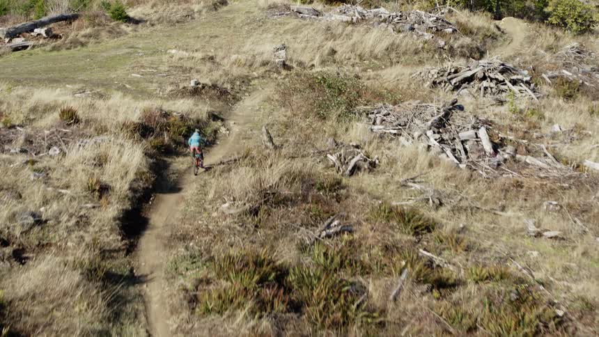 A person races on the trail