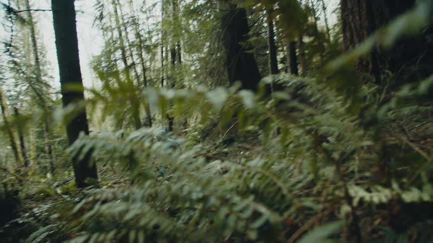 A woman driving a mountain bike on a trail through the forest downhill