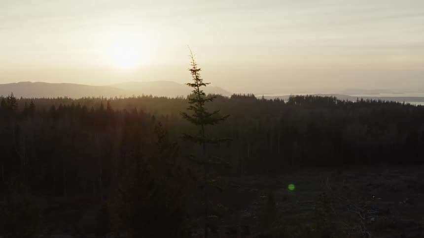 Sun shines over mountains on horizon and over forest on a foggy day