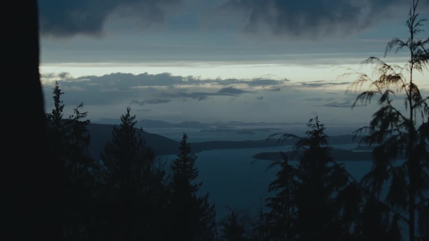 Trees along the coast as dark clouds move across the sky over the water