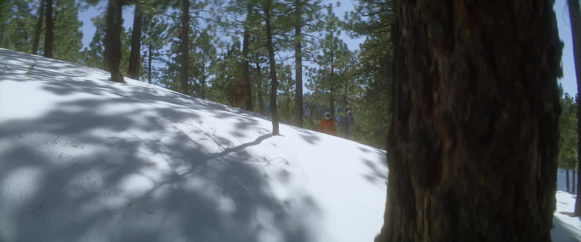 A person is walking through a forest in winter